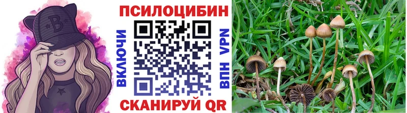 Галлюциногенные грибы MAGIC MUSHROOMS  Бавлы 