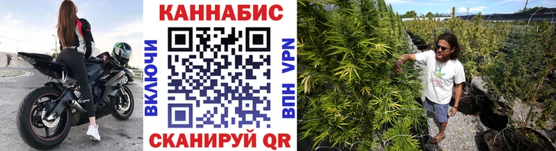 Канабис сатива  Бавлы 